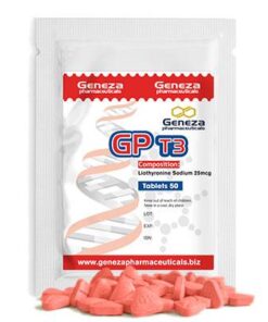 GP T3